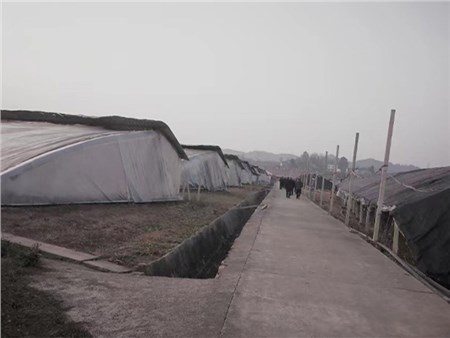 常德基地