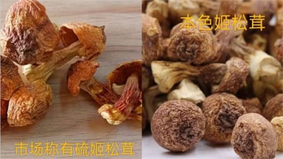 姬松茸怎么挑选才好？