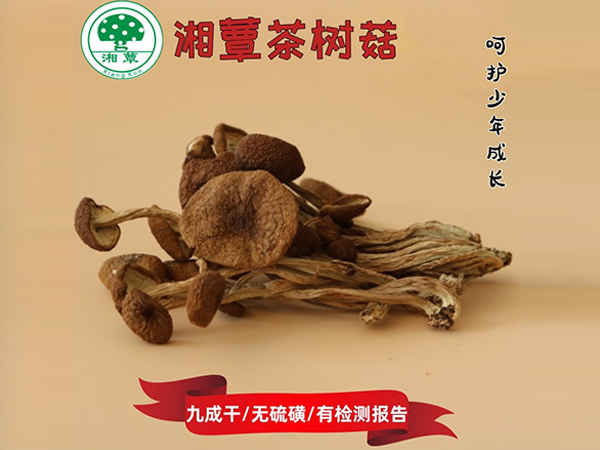 茶树菇干货